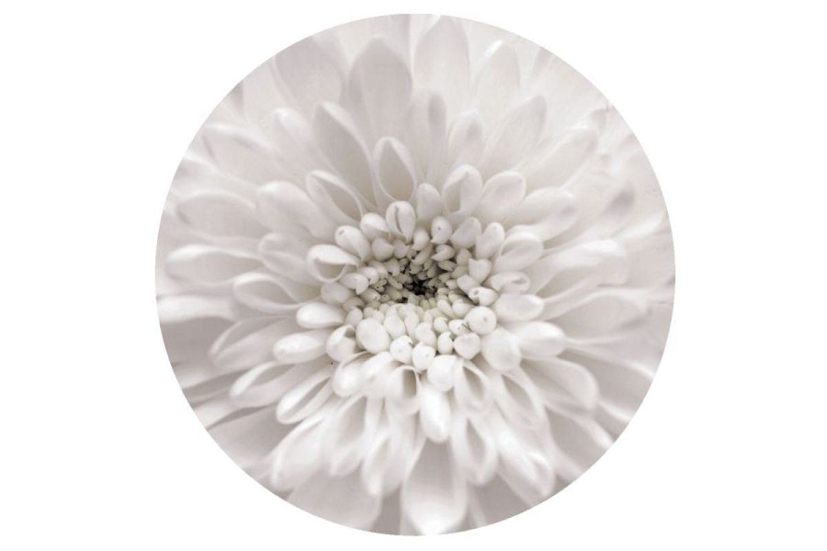 Стол круглый Бостон раздвижной Флоренс | фото 2