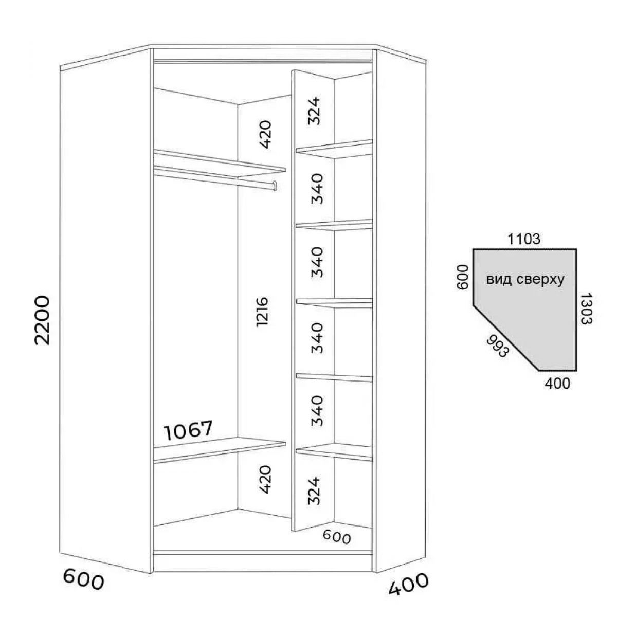 Шкаф-купе ХИТ-У-L-22-64-77 | фото 2