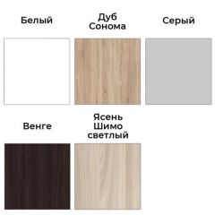 Шкаф-купе ХИТ-У-24-4-66 | фото 4