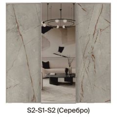 Шкаф-купе 1950 серии SILVER S6+S1+S6Z B22+PL1 (по 2 ящика лев/прав+1 штанга) профиль «Серебро» | фото 6