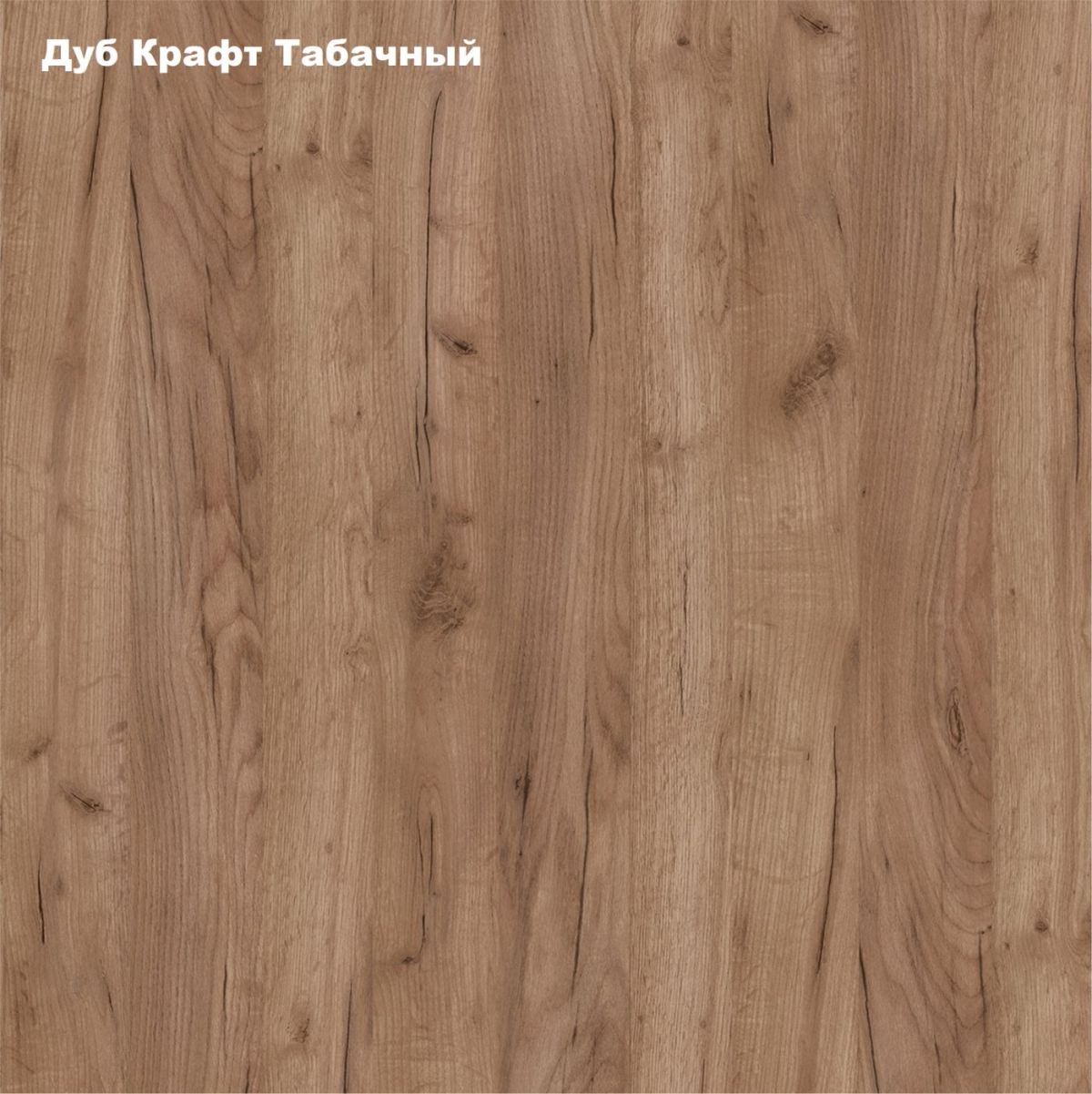 Стол книжка (1-65М1дкт) Дуб Крафт Табачный | фото 2